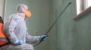 Best Emergency Mold Remediation  in Chapel Hill, TN