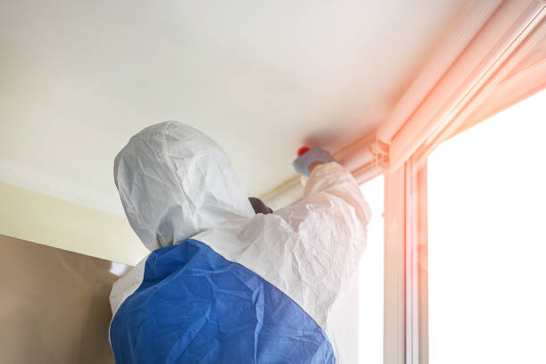 Best Commercial Mold Inspection  in Chapel Hill, TN