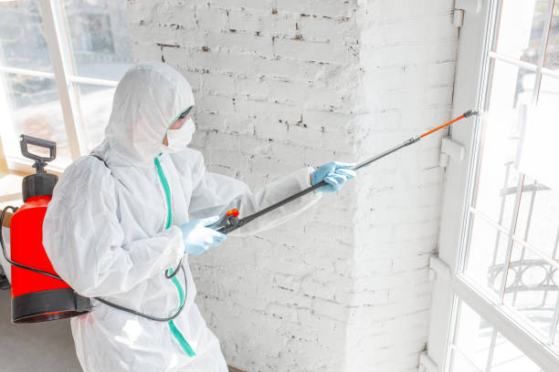 Best Mold Remediation for Rental Properties  in Chapel Hill, TN