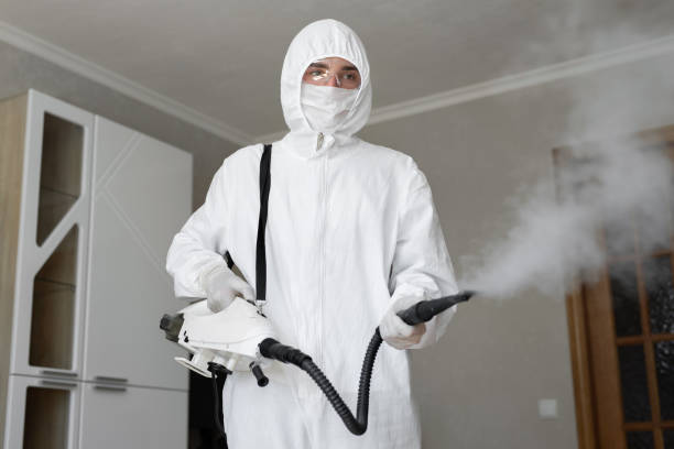 Best Forensic Mold Investigation  in Chapel Hill, TN